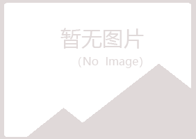 青海盼山会计有限公司